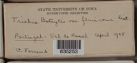 Trichia botrytis var. botrytis image